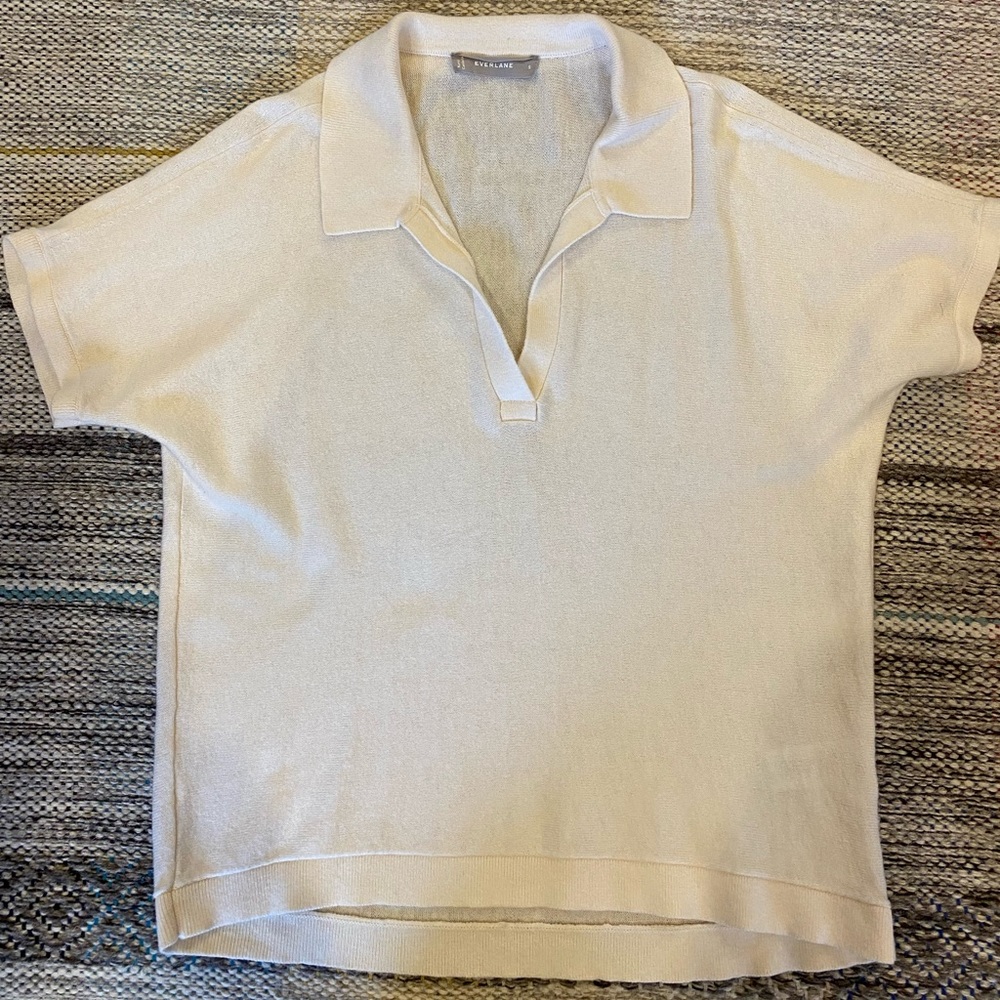 Everlane sweater T
